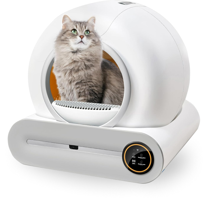 hm-bnr-product-image