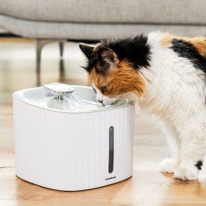 Fontaine à eau rechargeable pour chat avec capteur Refopet InnovaGoods