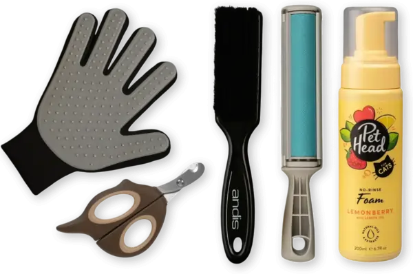 join-crazy-img-1-1 (1)